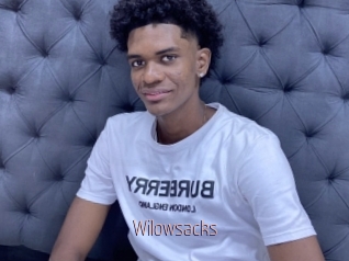 Wilowsacks