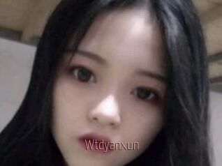 Wtdyanxun