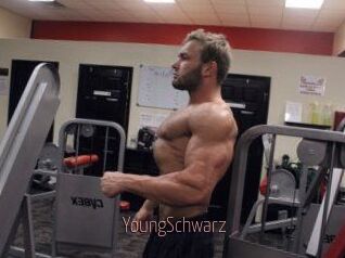 YoungSchwarz