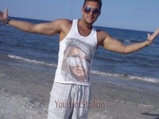 YourHotStallion