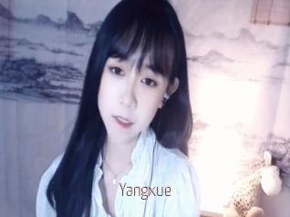 Yangxue