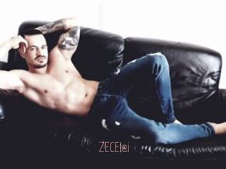 ZECElei