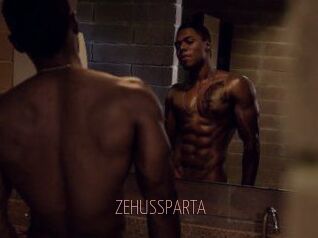 ZEHUS_SPARTA