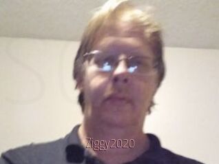 Ziggy2020