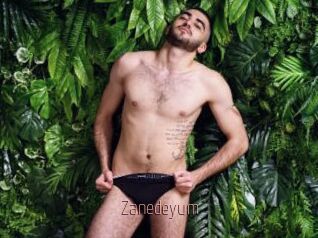 Zanedeyum