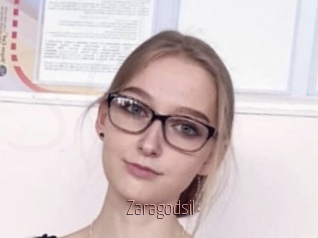 Zaragodsil